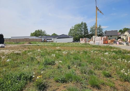 FlStk. 669 nach Westen