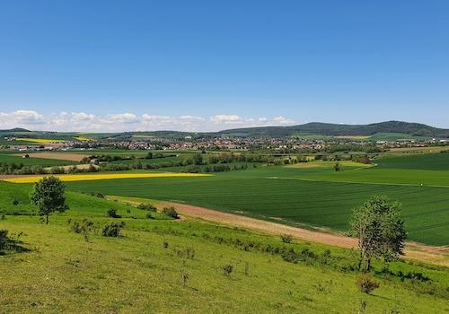 Blick vom Offenberg im Mai