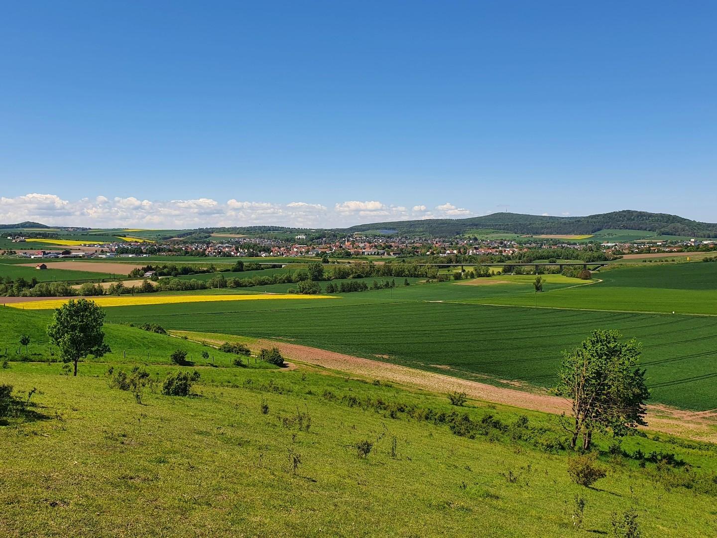 Blick vom Offenberg im Mai