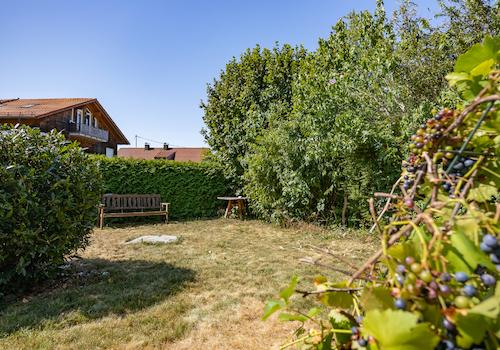 Blick in den Garten