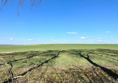 Ausblick
