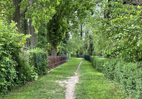 21_Spazierweg zum Wald