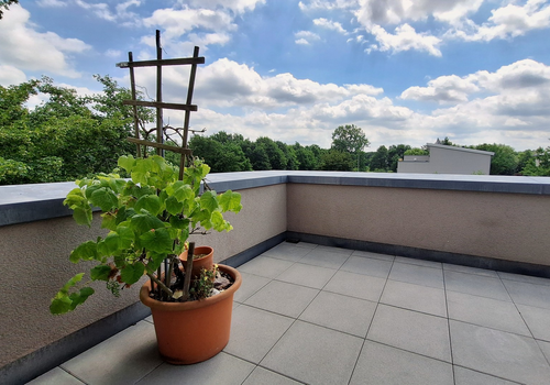 Dachterrasse mit Ausblick