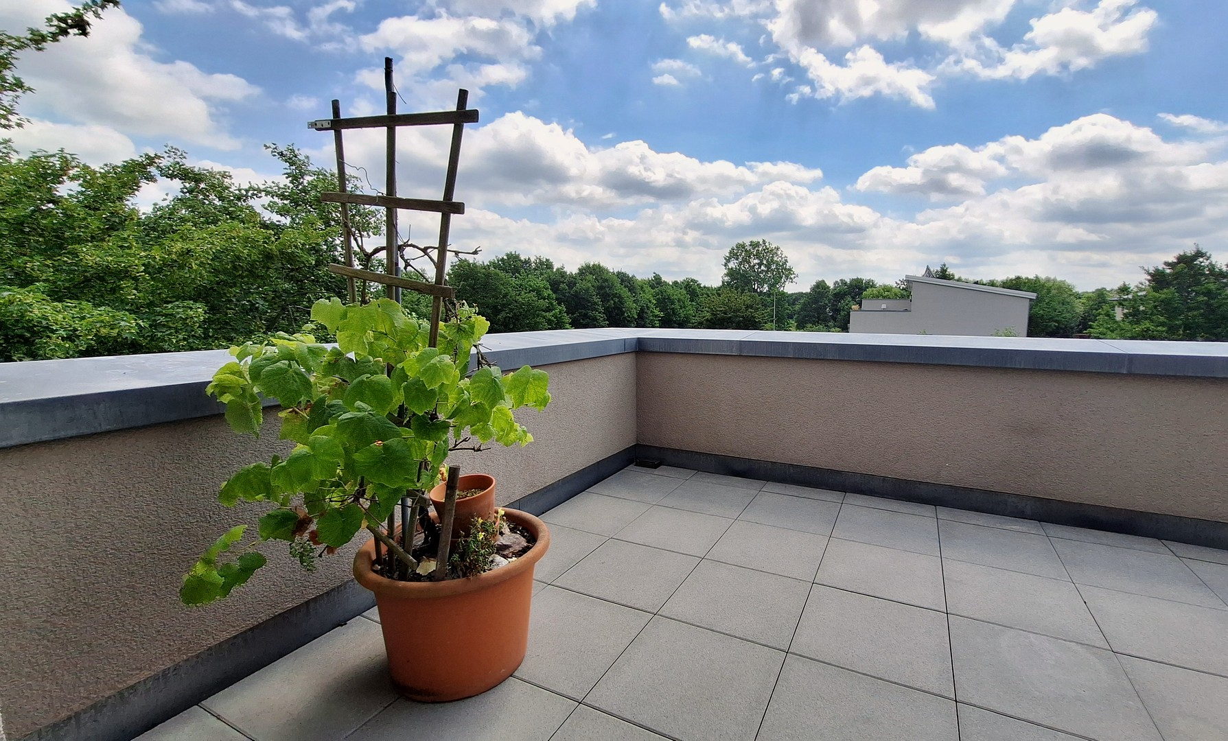 Dachterrasse mit Ausblick