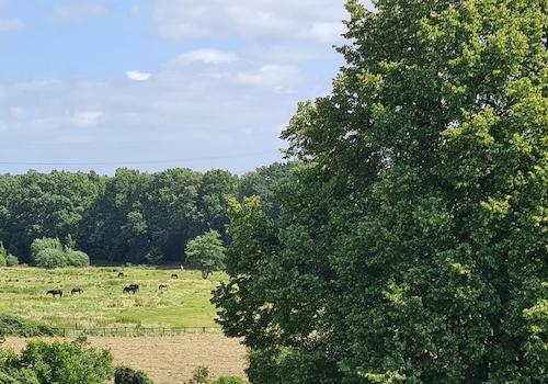Ausblick von der Terrasse 