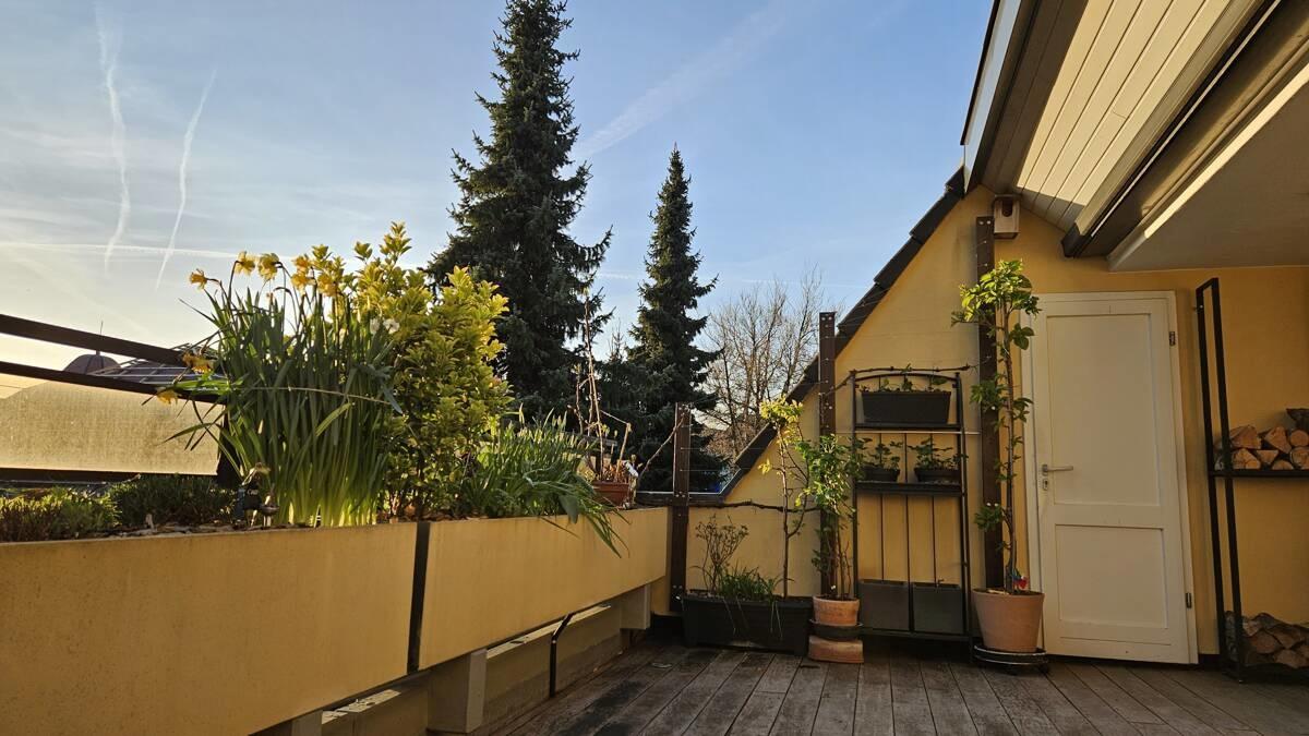 Terrasse