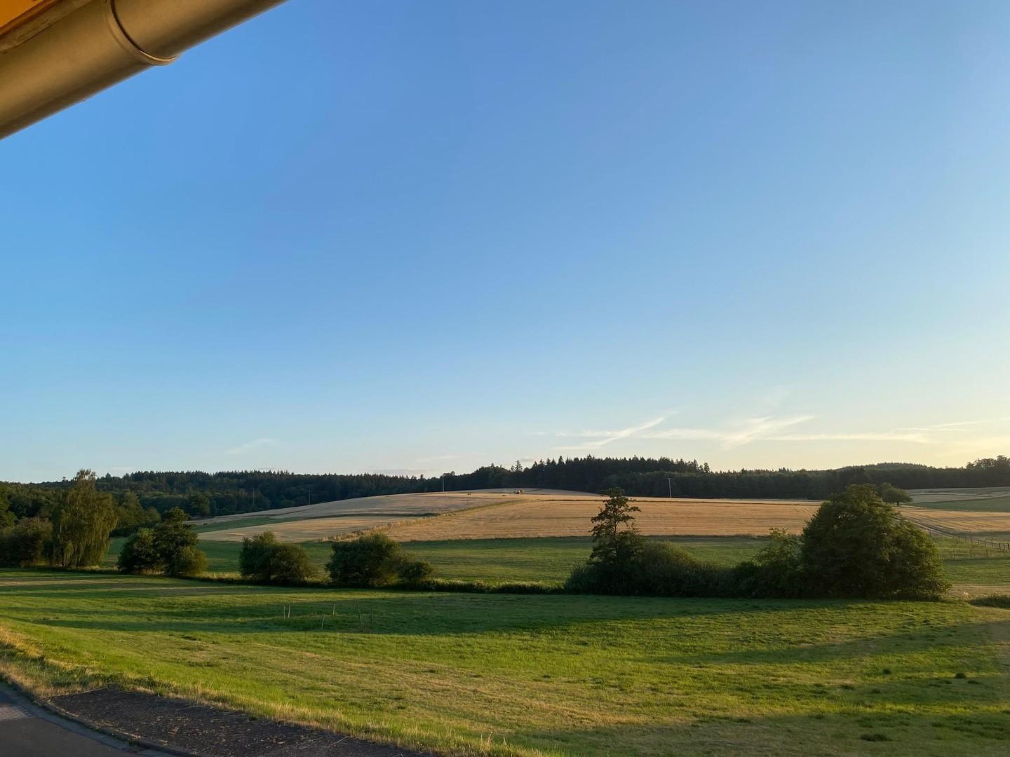 Blick aus dem Wohnzimmer