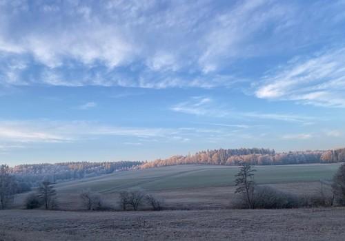 Natur pur im neuen Zuhause