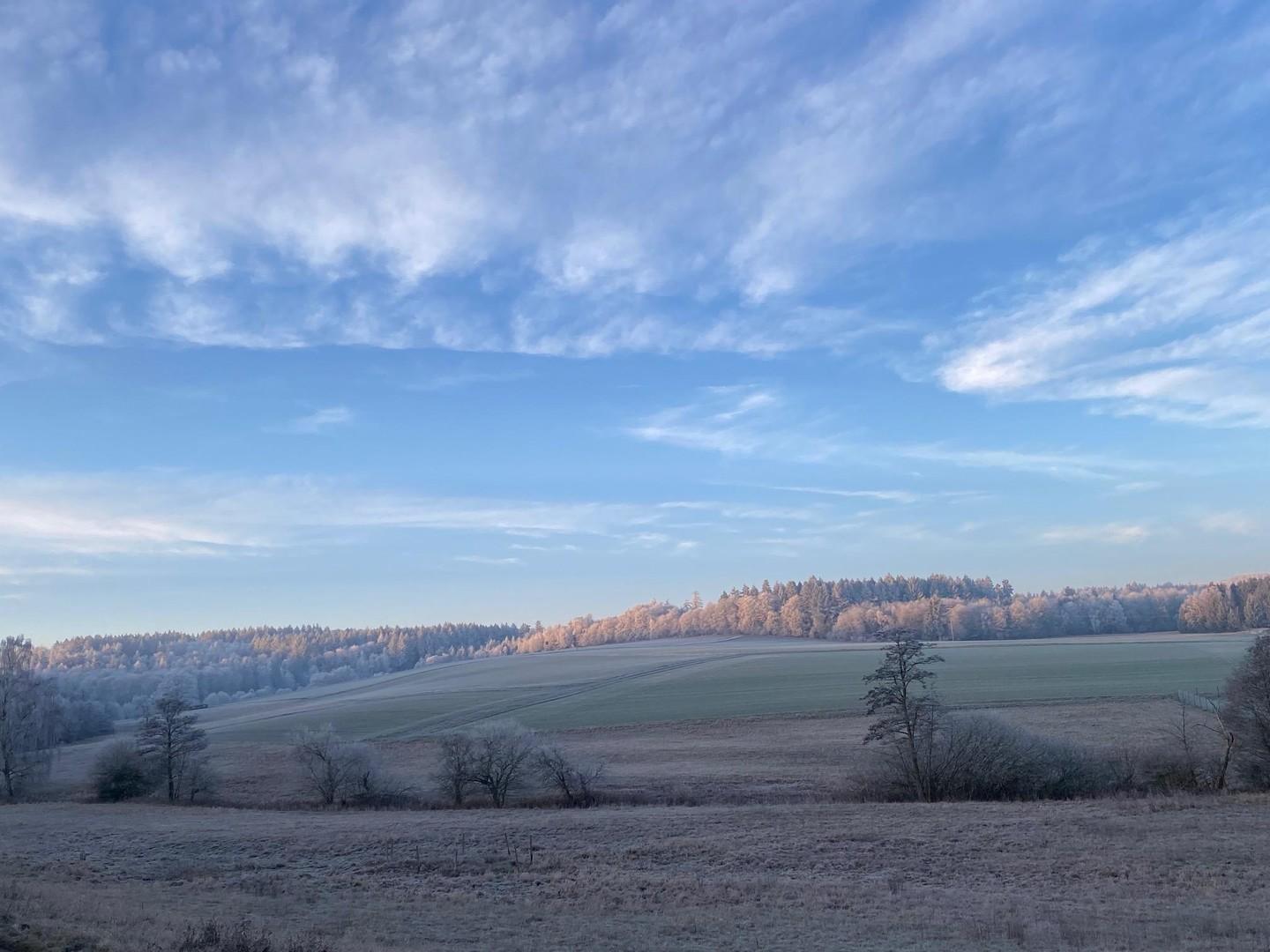 Natur pur im neuen Zuhause