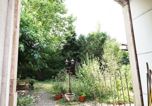 Blick aus der Zufahrt zum Garten