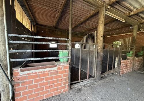Stallung Innenaufnahme
