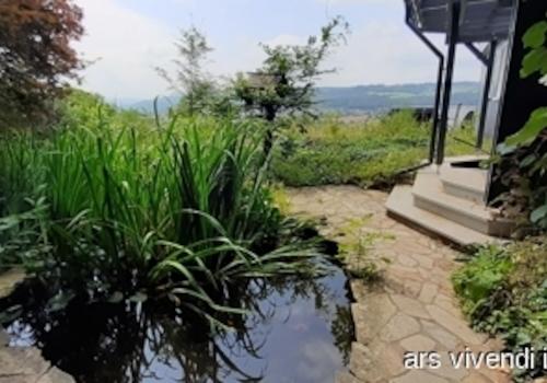 Teich im Vorgarten