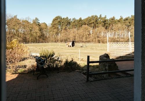 Ausblick zur Pferdeweide