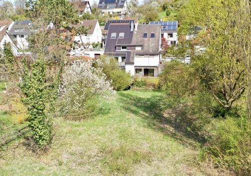 Blick von Wiese auf Haus