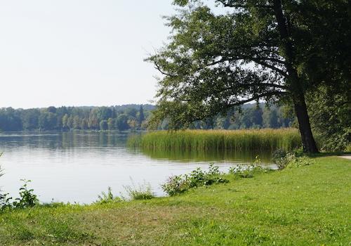 Umgebung
