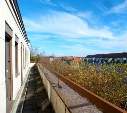 Ansicht (10)