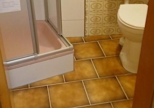 Teilsanierte Dusch/Toilette