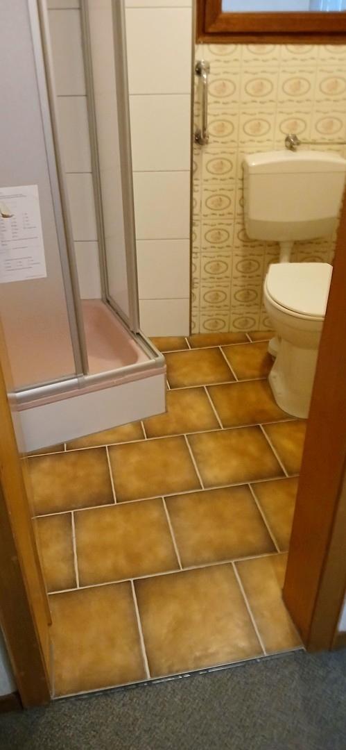 Teilsanierte Dusch/Toilette