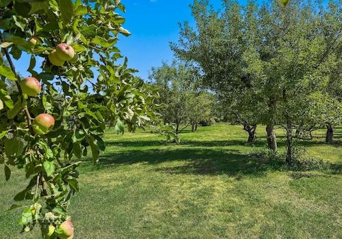 Obstwiese