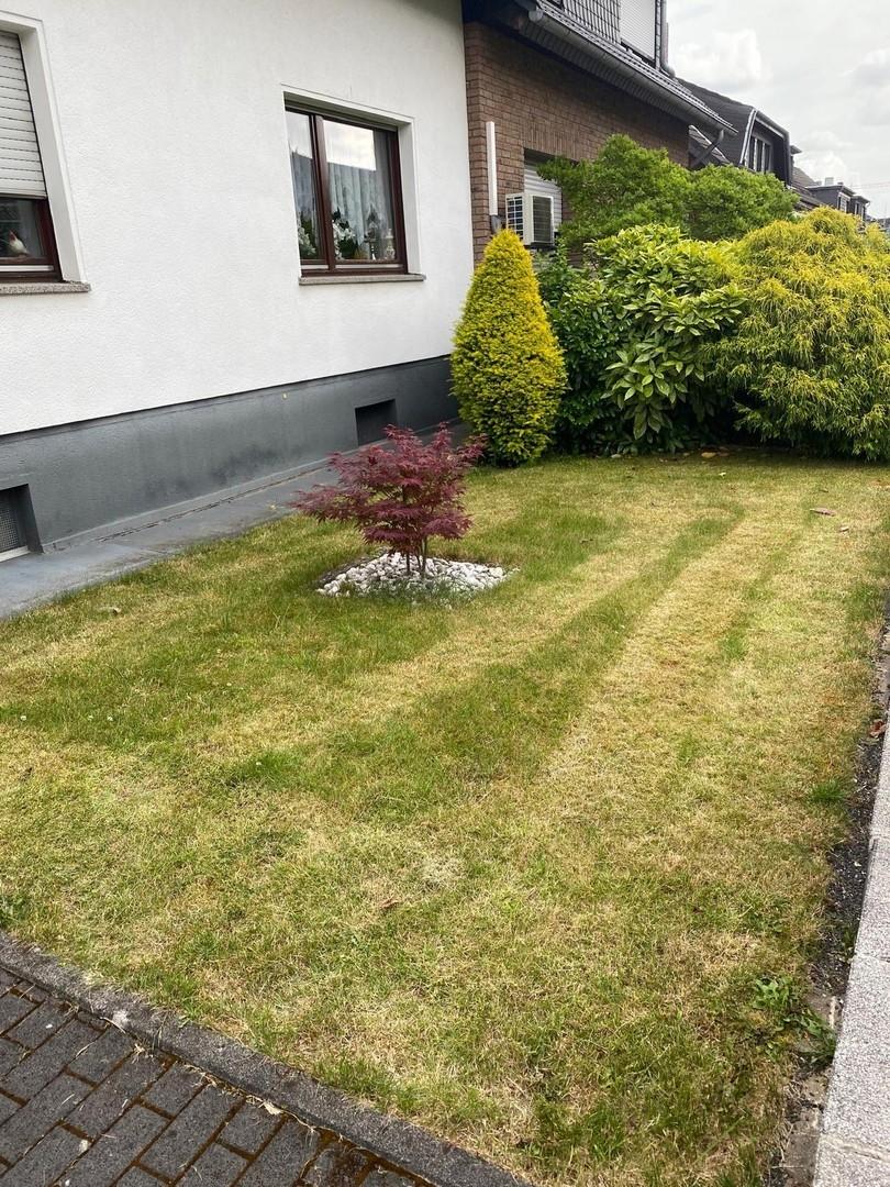 Vorgarten