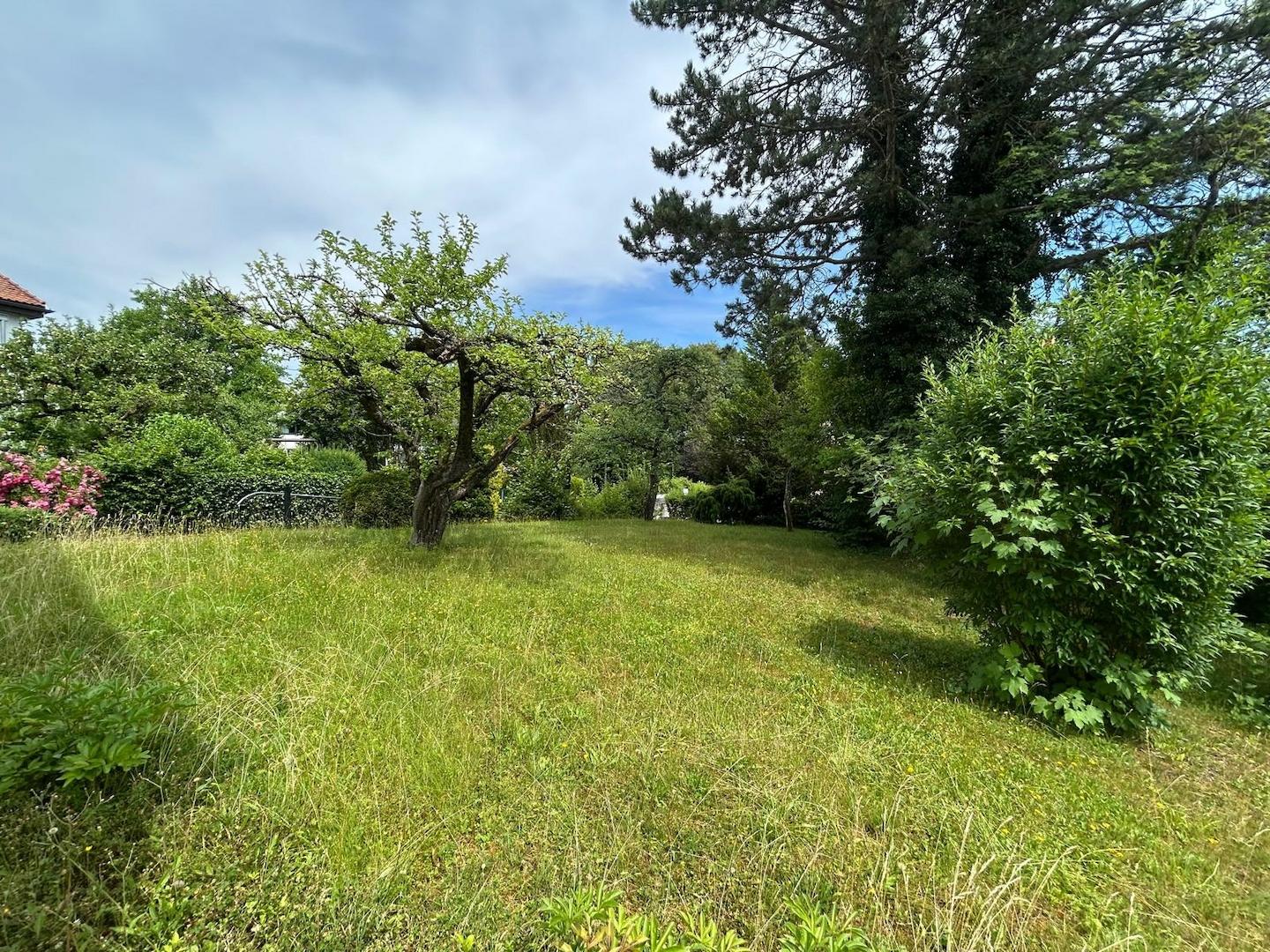 Gartenimpression