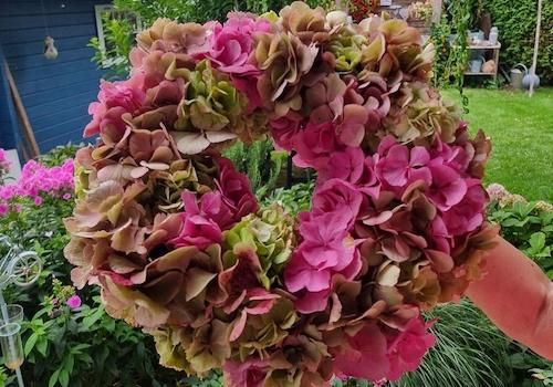 Blumiges...