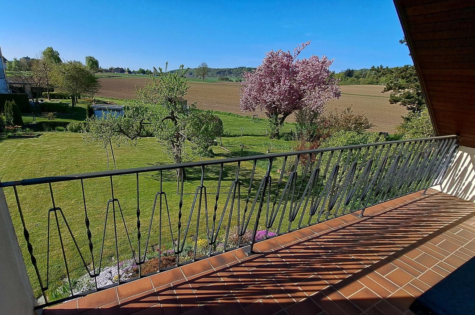 Aussicht vom Balkon im OG