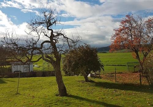 Gartenblick von Terrasse