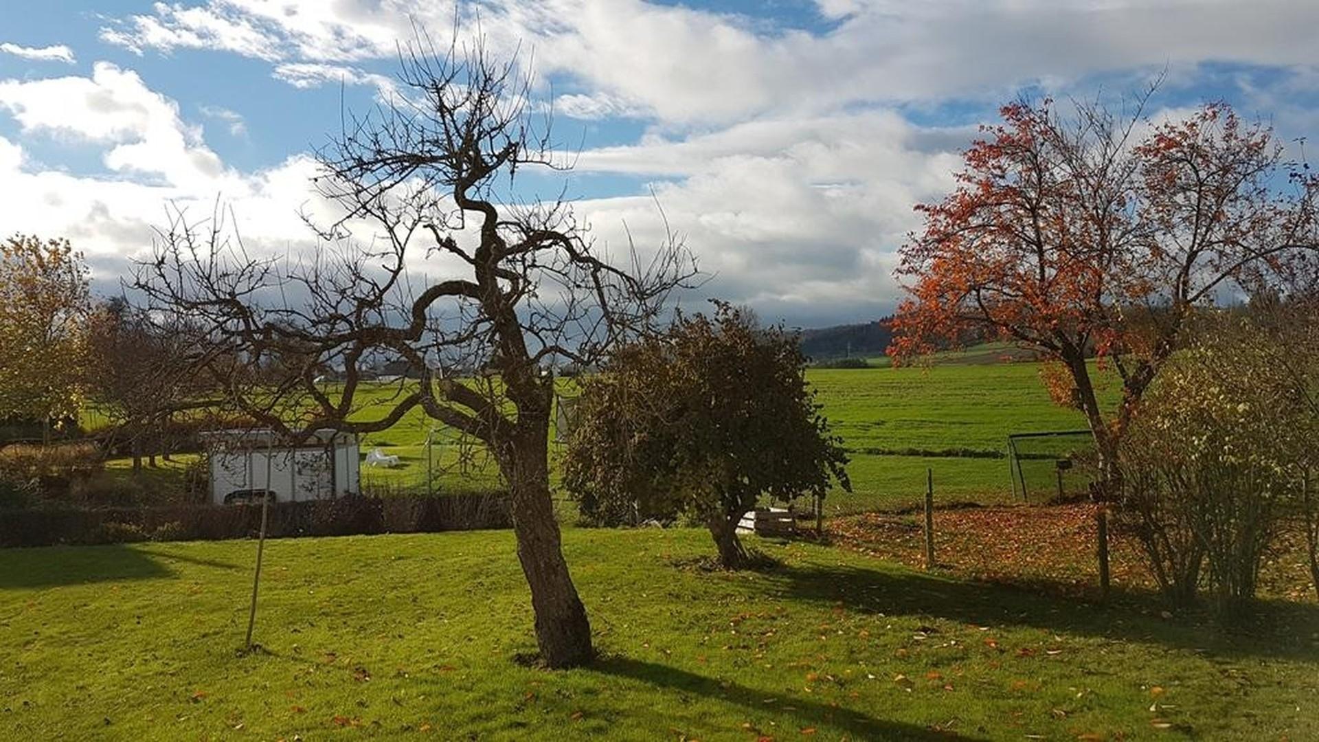 Gartenblick von Terrasse