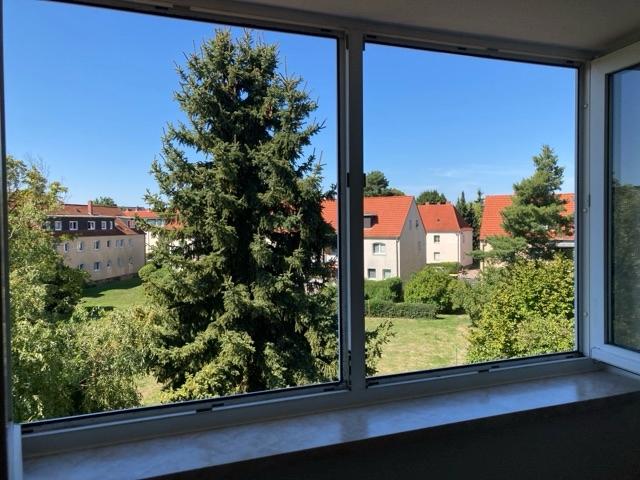 Ausblick