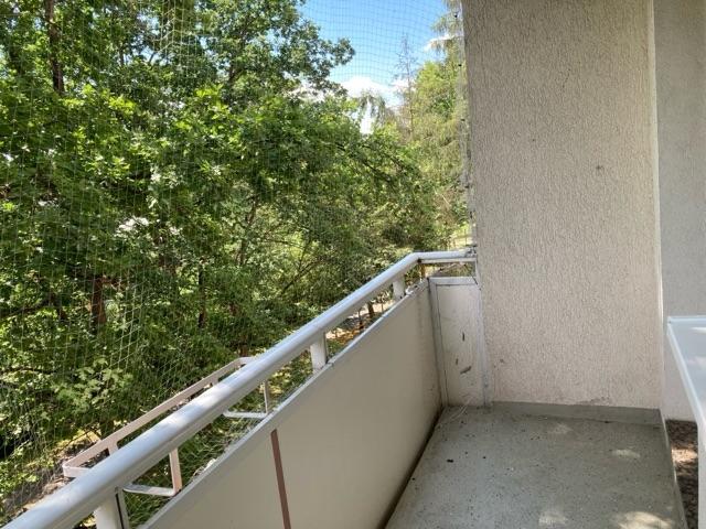 Blick vom Balkon