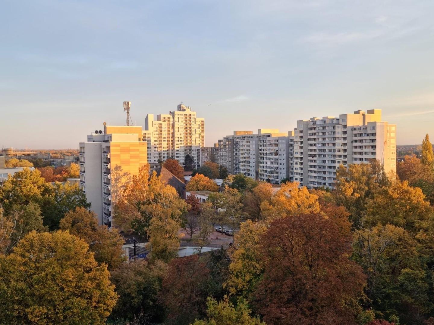 Aussicht Küche