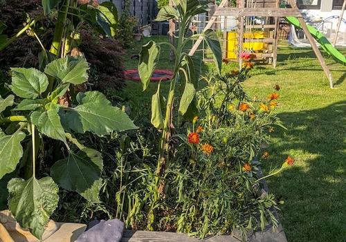 Garten