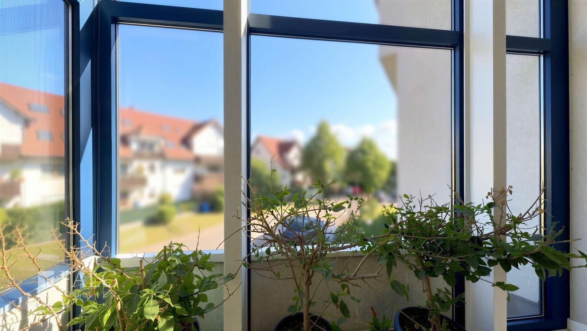 Ausblick