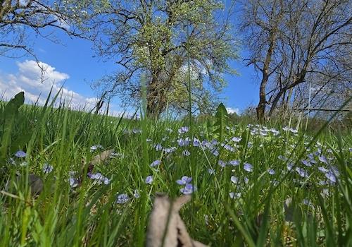 Geretsham 9_17.04.2026_ (3)