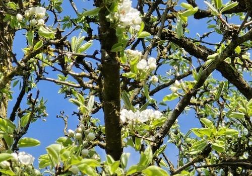 Geretsham 9_17.04.2026_ (30)