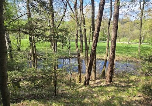 Geretsham 9_17.04.2026_ (37)