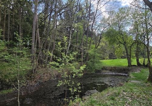 Geretsham 9_17.04.2026_ (33)