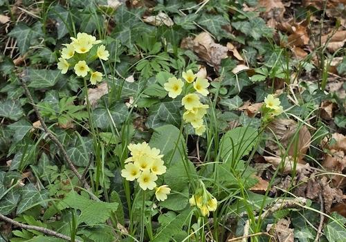 Geretsham 9_17.04.2026_ (39)