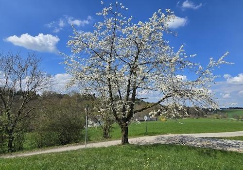 Geretsham 9_17.04.2026_ (42)