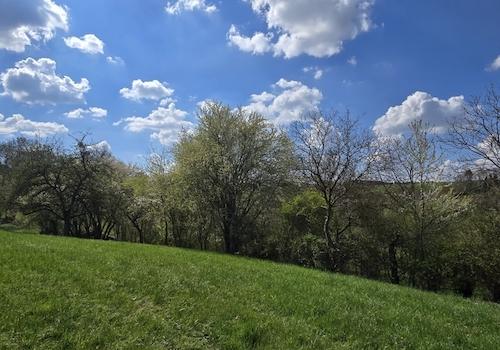 Geretsham 9_17.04.2026_ (43)