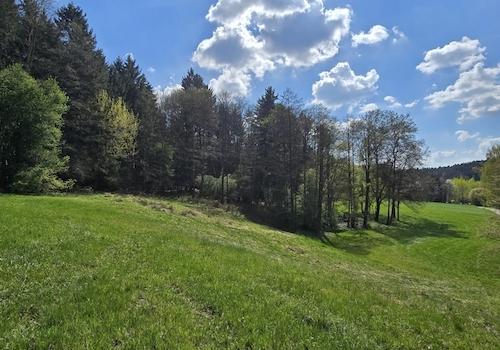 Geretsham 9_17.04.2026_ (40)