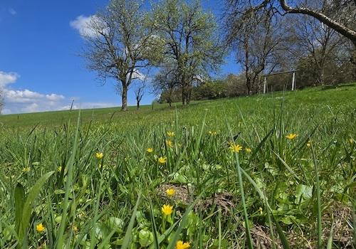 Geretsham 9_17.04.2026_ (4)