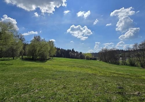 Geretsham 9_17.04.2026_ (6)