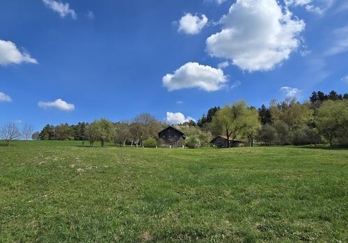 Geretsham 9_17.04.2026_ (12)
