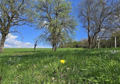 Geretsham 9_17.04.2026_ (2)