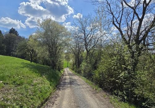 Geretsham 9_17.04.2026_ (44)