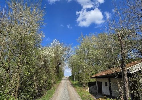 Geretsham 9_17.04.2026_ (32)