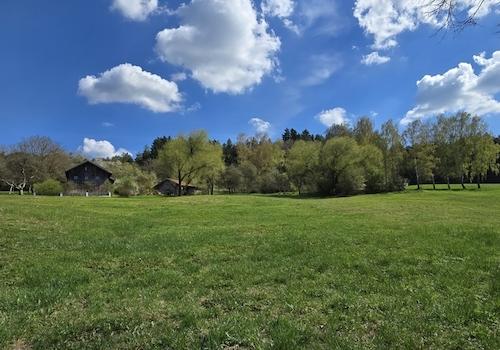 Geretsham 9_17.04.2026_ (11)