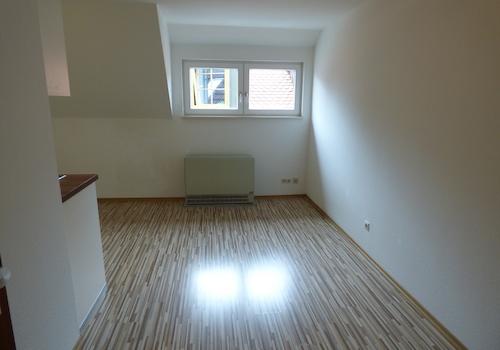 DG: 1-Zimmer-Appart. - Wohn-Schlafzimmer